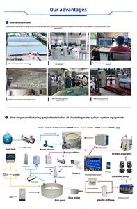 बहु-उपयोग ओजोन कीटाणुशोधन मशीन: अंतरिक्ष/जल कीटाणुशोधन उच्च उत्पादन कम खपत - Product Image 6