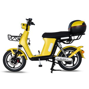 紧凑型车架 800W 电动摩托车，带 LED 显示屏、安全制动系统和实用骑行配件，适合日常使用 - Product Image 6