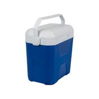 Glacière professionnelle personnalisée de grande capacité 9L portable en plastique pour garder la glace fraîche en camping