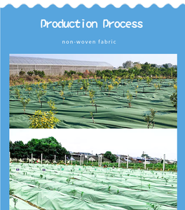 Tela no tejida fusible impermeable de poliéster 100% verde de 350g/500g para huertos, tela anti-ervas, tela para supresión de maleza - Product Image 6