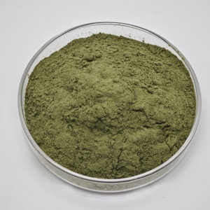 Polvere di Succo di Superfood Vegetale Verde OEM Private Label: Kale, Erba di Grano e Erba d'Orzo - Product Image 3