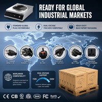 Gewerblicher 5000W Konkaver Induktionsherd 110V 220V Hochleistungs-Wok-Kocher für Chinesische Restaurants Asiatische Großküchen