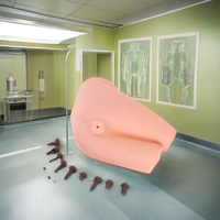 Simulateur d'examen rectal en PVC durable DARHMMY avec selles pour la formation médicale et la simulation (taille naturelle)