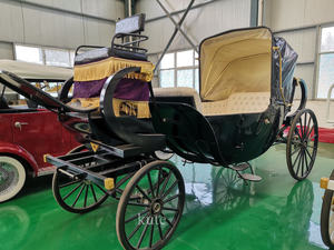 Chariot électrique à basse vitesse pour la visite des sites panoramiques des parcs d'attractions - Product Image 6