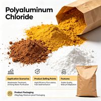 Floculante Químico para Tratamiento de Aguas Residuales, Polímero PAC/PAM, Coagulante para la Industria Papelera