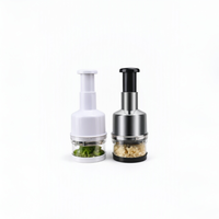 Nouveauté : Presse-ail manuel portable en acier inoxydable facile à nettoyer, coupe-légumes pour la préparation quotidienne des aliments en cuisine