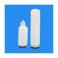 Cartucho de filtro plegado plisado PVDF de 10 pulgadas, Grado Alimenticio hidrofílico, soluciones Wuhu Anhui, 0,01 micras, oftálmica estéril