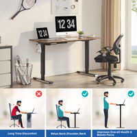 Escritorio Eléctrico Ergonómico de 1.6M/63 Pulgadas y 110KG/242LB de Capacidad, Escritorio Elevador de Doble Motor con Altura Ajustable para Oficina en Casa