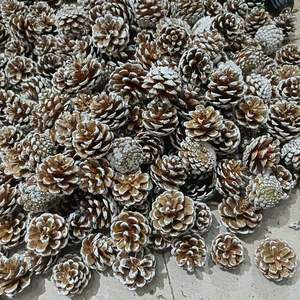 Pignons de pin naturels à suspendre pour Noël, directement de l'usine, ornements en forme de cônes, longue durée, décoration de mariage DIY, en carton - Product Image 5