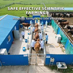 Integratore di lievito fermentato-Booster probiotici naturali per l'alimentazione del bestiame - Product Image 6