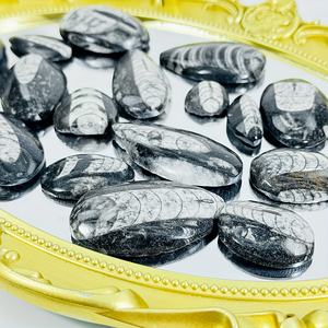 Fósiles de Trilobites al por Mayor, Piedra Sinijiao de Impacto Directo, Especímenes Arqueológicos, Fósiles Naturales del Fondo Marino, Piedras en Bruto para Decoración - Product Image 6