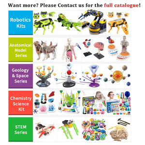 Juego de Órganos Humanos para <span class=keywords><strong>Educación</strong></span> Temprana, Juguete Educativo de Ciencia para Estudiantes de <span class=keywords><strong>Primaria</strong></span> <span class=keywords><strong>y</strong></span> <span class=keywords><strong>Secundaria</strong></span>, Rompecabezas DIY, Juguetes Cognitivos - Product Image 4