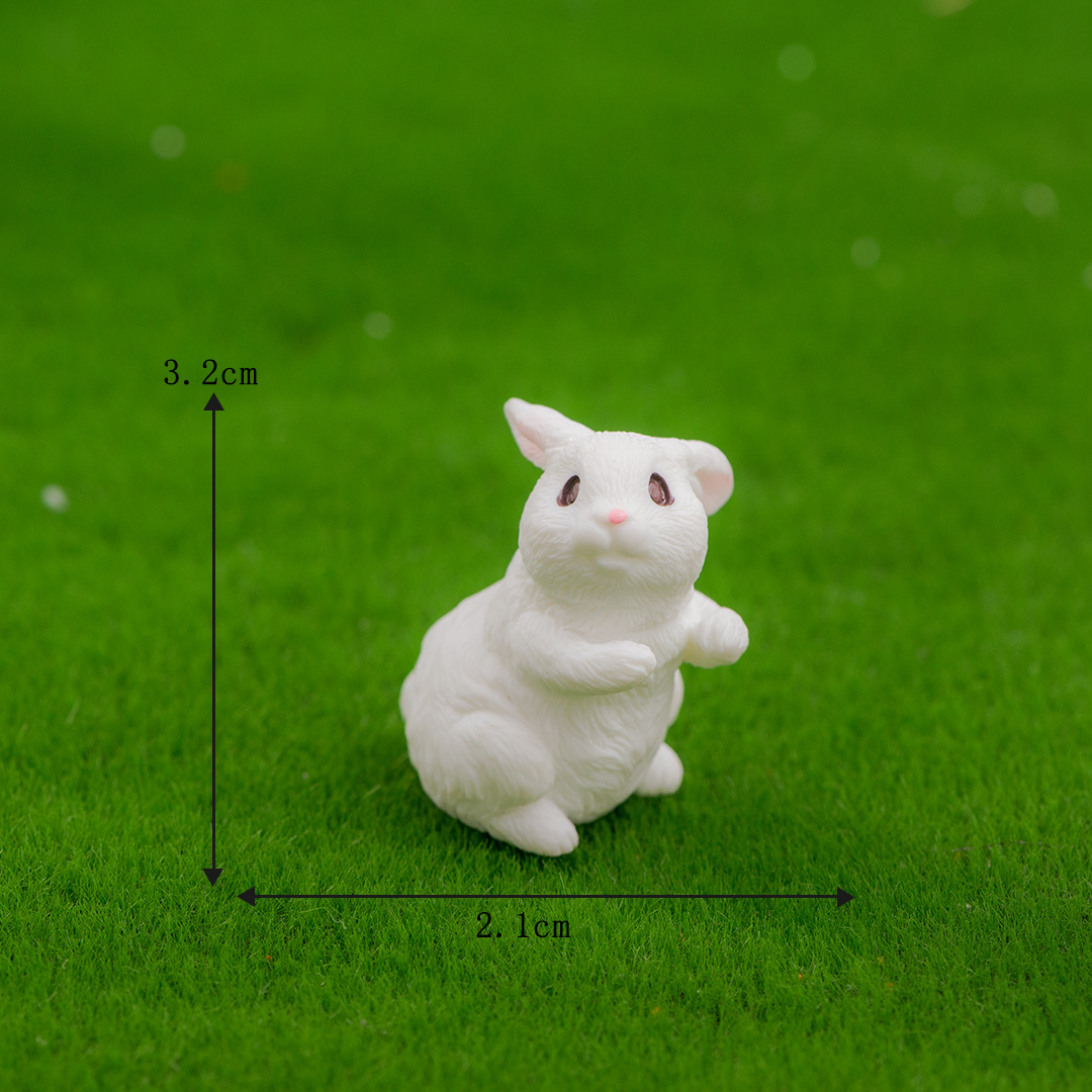 Taille 2 Grand Demi-squat