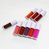 Vente en gros Marque privée Maquillage minéral Rouge à lèvres liquide Rouge à lèvres mat imperméable longue durée Logo personnalisé