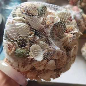 เปลือกหอยสังข์สำหรับตกแต่งบ้านงานฝีมือระดับพรีเมียมสำหรับตกแต่งบ้านงานแต่งงานกลางเปลือกหอยศิลปะแบบ DIY - Product Image 1