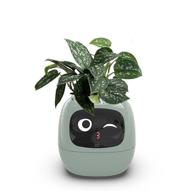 Smart Mimi Flower Pot AI Sensor Facial Interaction APP Digital Pet Self Watering Small Flower Pot