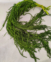 Décoration murale en amaranthe verte suspendue D-1, arrangement de fleurs séchées pour mariage et toutes occasions, 100 cm, en plastique