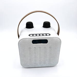 Altoparlante Wireless BT per Karaoke, Microfono Portatile e Altoparlante con Funzione Karaoke, Cassa Bluetooth - Product Image 4