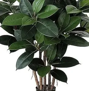 Giá cả cạnh tranh Cây Nhân Tạo Hoa cây bonsai cây nhân tạo trang trí nội thất cây bonsai từ Trung Quốc sản xuất - Product Image 3
