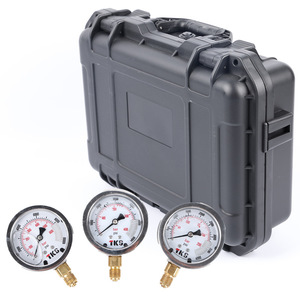 ชุดทดสอบแรงดันไฮดรอลิกแบบพกพาสำหรับรถขุด พร้อมขั้วต่อสีดำ สามเกจเก้าขั้วต่อ จากโรงงาน - Product Image 1