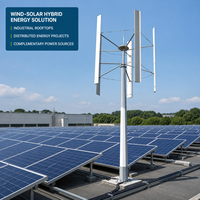 Éolienne verticale à lévitation magnétique 100W 200W 300W, démarrage à faible vitesse, générateur complémentaire éolien-solaire pour usage domestique