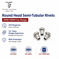 Rivets semi-tubulaires à tête ronde personnalisés TianFang pour prototypes d'instruments de précision, en titane poli, approvisionnement stable par lots