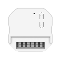 Usine Tuya DC12-48v 1 canal 5A Smart RGB Gradateur RF433 & WiFi Fonctionne avec le commutateur cinétique Google Home/Alexa pour la lumière/contrôle LED