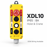 Station de commande suspendue XDL10 IP65 pour grue de levage, boîtier de commande à boutons poussoirs 2-6 boutons 8A avec interverrouillage, pré-câblé OEM