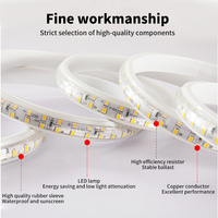 Bande LED haute tension 220V, double rangée de 120 LED, étanche pour l'extérieur, pour la décoration intérieure, la construction et l'éclairage de jardin