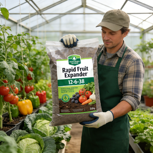 <span class=keywords><strong>ปุ๋ย</strong></span>เร่ง<span class=keywords><strong>ผล</strong></span><span class=keywords><strong>ผล</strong></span>ิต 12-6-38 NPK โพแทสเซียมสูง ละลายช้า ชนิดผงละลายน้ำได้ - Product Image 3