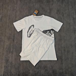 2026 Nieuwe Mode Botprint Snel Droogende T-Shirt Set Heren Dun Ademend IJs Zijde Korte Mouw Casual 2-Delig Shirts & Tops Outfit - Product Image 1