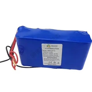 24v Lithium Battery Quality 7S2P 24v 5ah Lithium Ion Battery