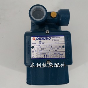 Pompe à eau Pedrollo PQm60 pour machine EDM en fonte grise - Product Image 2