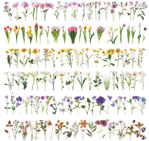 40 autocollants de fleurs transparents <span class=keywords><strong>en</strong></span> PET pour enfants, autocollants de décoration de série de plantes pour le bricolage, autocollants décoratifs floraux vintage - Product Image 1