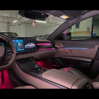 Compatible avec 24 éclairages d'ambiance dynamiques BYD Han Dmi (version grain de bois écaille de dragon) – Prise en charge des connecteurs gauche et droit