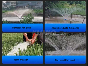 Big Flow Solar Fish and <strong>Shrimp</strong> Pond <strong>Farming</strong> Floating Pump Aerator Automatic Aquaculture Water Pump <strong>Oxygenation</strong> - Product Image 6