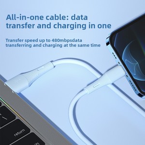 Câble de données en silicone ignifuge 3A personnalisé double USB Type-C C à charge rapide PD 60W compatible avec PD 27W personnalisable - Product Image 4