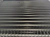 Évaporateur tunnel spiralé robuste en acier inoxydable basse température pour la production rapide de frites d'oignon surgelées