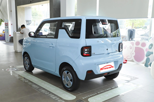 Velocità massima 100 Km/h Minicar piccola auto elettrica veicolo elettrico nuova energia veicoli 4 posti Ev auto per Panda Mini - Product Image 5