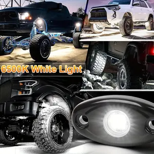 Reines weißes LED-Steinstar-Licht-Kit mit 4 Kapseln Lichter 6000K für Gelände Lkw Auto ATV SUV Motorrad Unterboden-Leuchtröhrchen