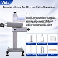 Machine de codage laser entièrement automatique pour sacs alimentaires, codage de la date d'expiration, marquage haute vitesse, sans consommables, longue durée de vie