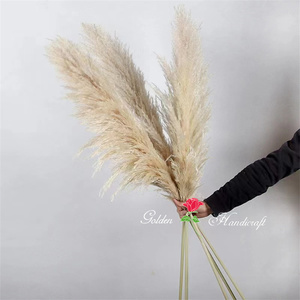 QSLH-567 Bulk Sales Natural <strong>Drying</strong> Pampas Grass Centerpieces Beige Dry Flower <strong>Bouquet</strong> Reed Grey Large Fluffy Plume Pampas Grass - Product Image 4