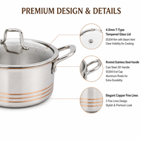 Nouvel Arrivage Usine : Ensemble de 10 Pièces d'Ustensiles de Cuisson en Cuivre 5 Plis, Casseroles de Cuisine 5 Plis avec Poignée en Acier Inoxydable, Design Lignes Fines