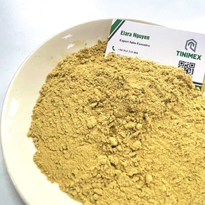 Tinimex - Jengibre en Polvo Seco Silvestre de Alta Calidad, Malla 40/60/80, Empaque de 25-30 kg en Bolsa de PP o Bolsa de Papel Kraft, Personalizable - Product Image 3