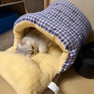 Cat <b>bed</b>, winter warm enclosed pet <b>bed</b>, sense of security, cat <b>bed</b>, small dog <b>bed</b>, suitable for all seasons, cat sleeping. - Product Image 4