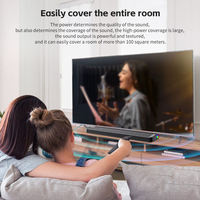 Barre de son TV 20W sans fil portable pour ordinateur portable, PC, système home cinéma, haut-parleur TV