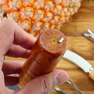 Pelador de caña de azúcar de piña de acero inoxidable, 4 Uds., rebanadoras, cuchillo para pelar, juegos de tenedores, herramientas de tienda de frutas para su <span class=keywords><strong>cocina</strong></span> - Product Image 5