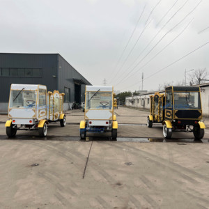 Carroza Fúnebre Eléctrica de Alta Gama con Construcción de Acero y Asientos de Cuero para el Transporte de Ataúdes - Product Image 2
