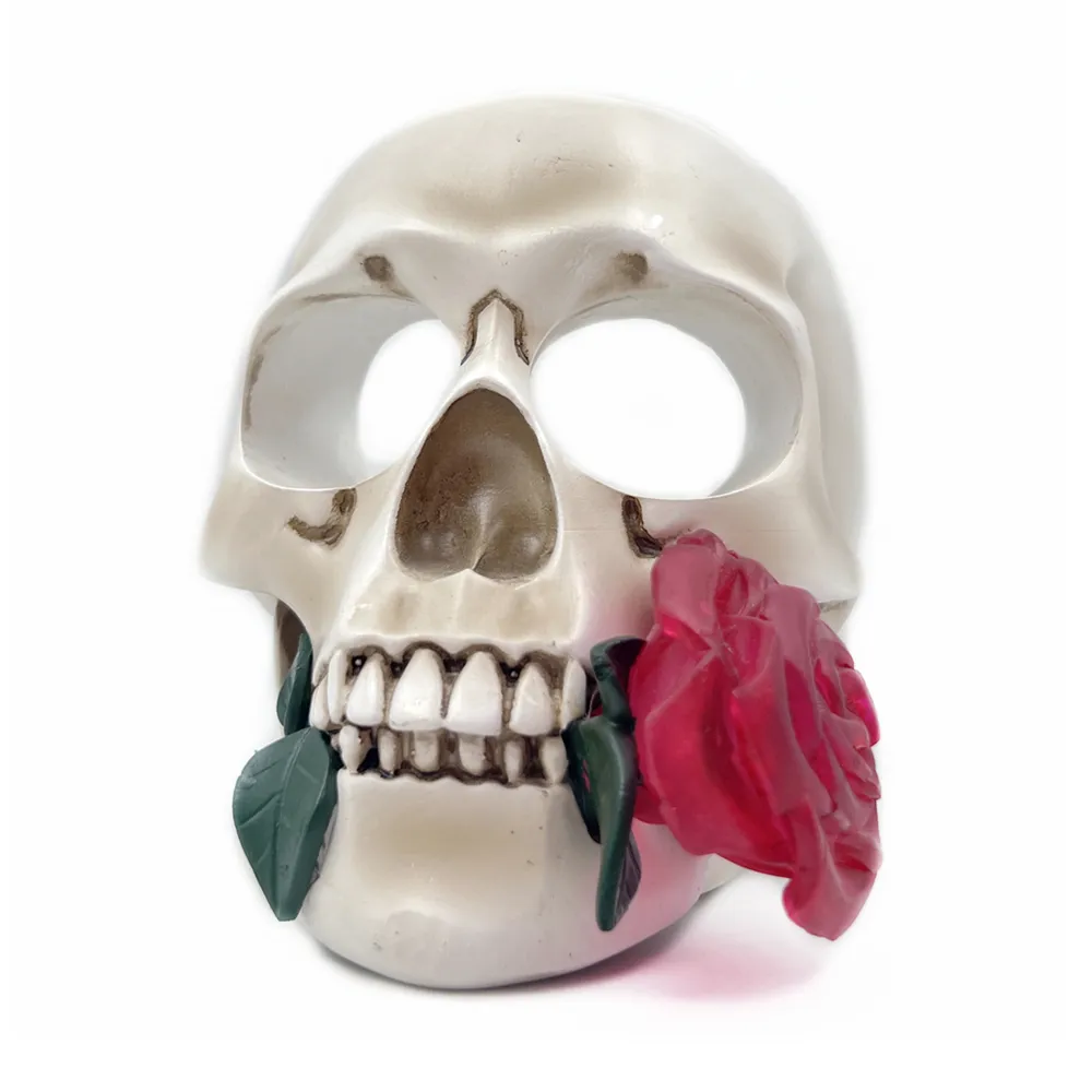 В натуральную величину, из смолы, прозрачная Роза, с изображением черепа человека, кисти для макияжа, держатель для ручек
