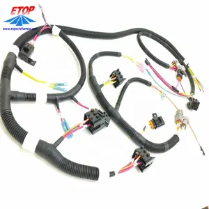 Complicated Best ECU Electrical Wire Harness